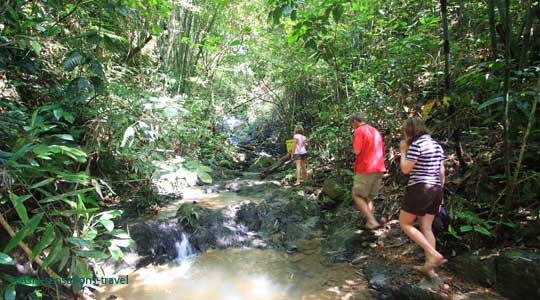 Phang Nga elephant care