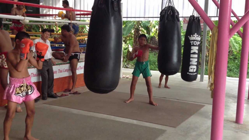 Programme d'Entraînement au Muay Thaï